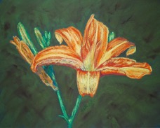 daylily-common-pastel.jpg