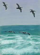 pelicansquadron1.jpg