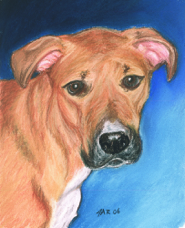 Cindy Gray dog portrait Rotten.jpg