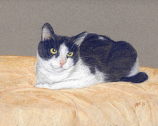 Cynthia Grimes cat portrait 1.jpg