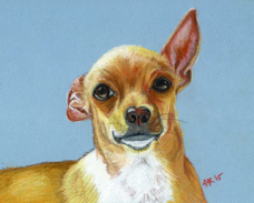 Donna Donohue dog portrait Lucy.jpg
