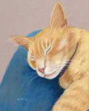 Stacie Cole orange cat pet portrait EPSON001.jpg